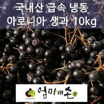 국내산 100% 냉동 아로니아 생과 대용량 5kg 10kg 해피스토어70