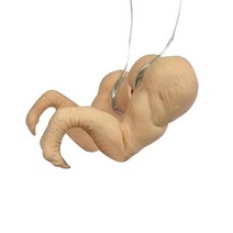 애완닭 관상용 닭 장난감 애완용품 팔 장식 앞다리 장식 공룡 스푸핑 동물 소품 팔 헐크, 하얀, m