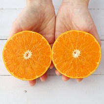 제주 천혜향 4.5kg 8kg 가정용 선물세트, 천혜향 가정용(소과) 4.5kg (22-25과)