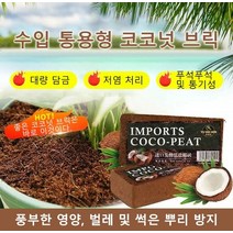 통용형 코코넛 브릭 화분분갈이흙대용량 실내화분흙 화분 영양토 야채 영양토, 레균러 [5-7L 불릴 수 있음]*6