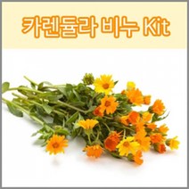 허브플로라 MP 비누만들기 키트, 카렌듈라 비누 키트