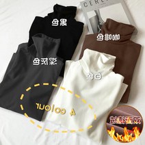 스웨터 양면 두꺼운 후라이스 긴 소매 레이어드 여성 겨울 가을 슬림핏 유행 이너 상의 3109329467