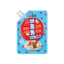 농심 배홍동 비빔면 소스 300g x 3개