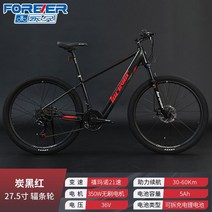 국토종주전기자전거 출퇴근용 스마트 배달용 영구리튬배터리 5Ah, 27.5인치