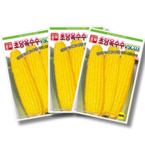 초당옥수수씨앗 (100립), 5개