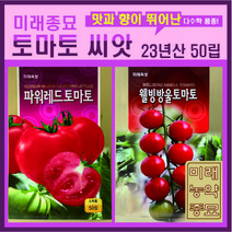 23년산 <미래농약종묘>토마토 씨앗 50립- 파워레드토마토/웰빙방울토마토 선택가능, 1개” class=”wr-img”></a></div></div></div></div><div class=