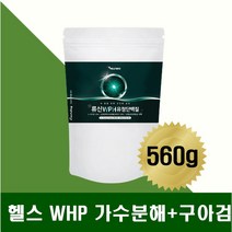 근육보충제 류신 WPH 유청단백분말 구아검 가수분해 단백분말 BCAA 류신 로이신 근육 회복 근력 근지구력 멸치탈출 벌크업 운동선수 운동전후 마시는 단백질 남자 여자 에너지부스터