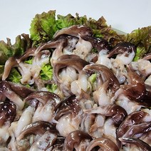 통영 최고급 손질 새조개 원물 3kg (35미내외) /손질후 새조개살 500g 내외