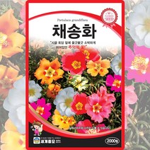 채송화 씨앗 채송화 씨 야생화 꽃 종자 2000립, 1개
