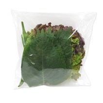 한끼쌈채소 무지(19x25+4cm) 봉투-200장