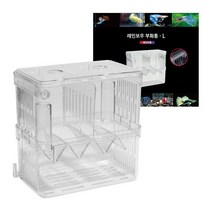 레인보우 부화통-L 치어 물고기 구피, 1개