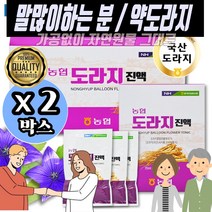 약도라지 보감 기관지에는 엄선한 황사 먼지 말많이하는 강사 교수 선생님 텔레마케터 를위한 약도라지 한방영양제 부모님선물 플라티코딘D 싸이언티픽 30포 x2박스