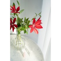 [올리브덴] 클레마티스조화 으아리 봄 여름꽃조화 4color, 딥레드