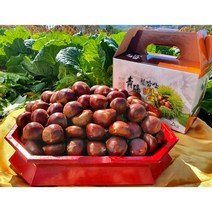 2022년 햇밤 청양 칠갑산 옥광밤 중 (2kg), 1개