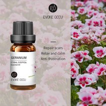 EVOKE-포크 에센셜 오일 10ML 아로마 디퓨저용 가습기 마사지 캔들 비누 제조 100% 자연 라벤더 자, 24 Geranium_01 10ml