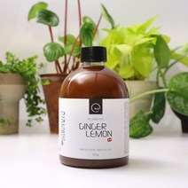 드시다 진저레몬 650g 수제청 생강레몬차, 단품(650g)