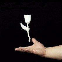 마술 용품 카드 도구 세트 매직 페이퍼 장미 종이 등 5 개 -- 트릭 파이어, White
