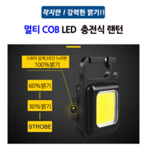 COB LED 키체인 미니 멀티 랜턴 충전식 야외 등산 캠핑 차박 비상 휴대용 포켓 손전등 라이트 작업등 10W, 선택2)J031+케이블+파우치+충전아답터