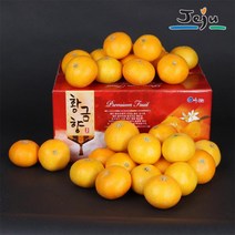 산지직송 제주 황금향 5kg 15-20과 선물용 제주연가