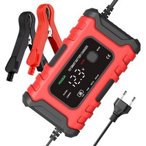 점프선 휴대용 고용량 케이블 24v FOXSUR-12V 6A 자동차 배터리 스타터 Lifepo4 24v 충전기 오토바이 SUV, 01 Red EU Plug