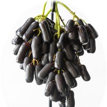 프리미엄 고당도 블랙사파이어 포도 가지포도 씨없는 포도, 1.2kg, 1개