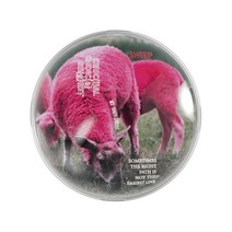미스틱사이트 반구 클리어 스마트 그립톡 투명 레진 감성 구슬톡, Sheep
