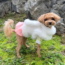 로로펫 반려동물 꽃자수털배자, 화이트