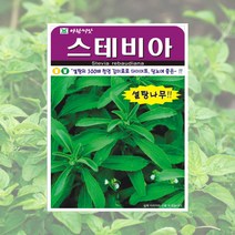 스테비아씨 50립 스테비아 허브씨 두리 씨앗 아람종묘