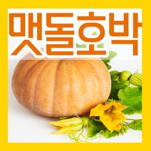 맷돌호박 씨앗 30립 맷돌호박씨 늙은호박 씨 파종재배, 1개