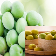 매실 레몬 파인애플 자몽 복숭아홍차 복분자 망고 유자 농축액, 파인애플 농축액 1L 2개