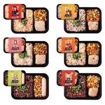 CN 맛있는 혼밥 6종 도시락 남자 여자 운동 헬스 식단 한달 든든한 양많은 냉동, 품격세트_6팩