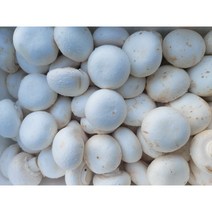 (국내산)무농약 양송이 버섯 500g, 1개