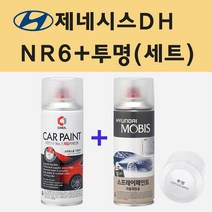 현대 제네시스DH NR6 블랙퍼플 주문 스프레이 페인트 + 투명스프레이