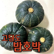 국산 달콤고소 밤호박 1kg 2kg 포슬포슬 맛있는 미니밤호박 달콤한 제철 단호박 호박 고소한 미니단호박 달달한 보짱 보우짱 고당도, 수입 단호박3kg(2-4개 -중량별 갯수 상이)