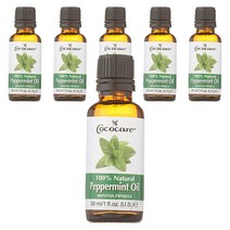 코코케어 내추럴 페퍼민트 오일, 30ml, 6개