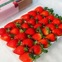 남도5일장 고당도 설향딸기 특30구 (900g내외) 남도오일장 프리미엄 담양딸기 당일수확 산지직송, 900g내외, 2박스