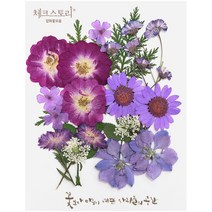 압화 컬러믹스 종합팩 꽃모음 17종 압화공예 액자 레진공예, 퍼플1