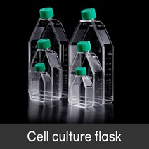 SPL Cell culture flask Filter type 세포배양 셀컬처 플라스크, 선택2 70075 T75
