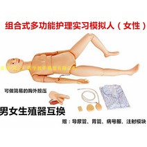 심폐소생술 연습 교육자료 인형 모형 모양 인공호흡, 생식기