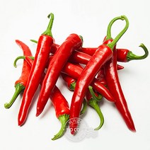 햇고추 청고추 홍고추 특품 내외 모닝고추 아삭고추 풋고추 5kg 땡초 매운고추, 단품, 단품