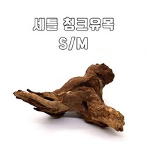 영아쿠아 세틀 청크 유목 (M) / 맹그로브 유목 30Cm 급