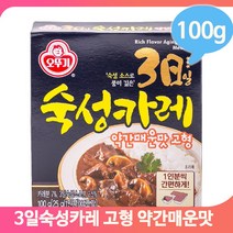 오뚜기 고체카레 3일숙성카레 약간매운맛 100g 고형 큐브 조각 가정 캠핑
