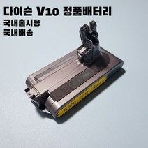 다이슨 V10 배터리 무상수리 1년 국내유통부품, 1개
