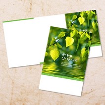 교회 절기 주보 추수감사절 주보용지 3단 6면 주보지 52주 디자인 순서지 안내지 교회용품 기독교용품 주일학교 청년부 전도용품 새교우, EW-56