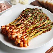 함평댁 국내산 파김치 국산원재료, 파김치 2kg