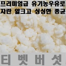 티벳버섯 케피어그레인, 20cc