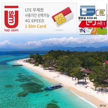 탑유심(ASIA) AIS True 인도네시아 유심 4G LTE 데이터무제한, 탑유심(ASIA) 4G 11일 데이터무제한, 1개