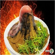 아트박스/오피스큐 과학키트 화산폭발 5인용