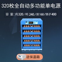 인큐베이터 인큐베이터 소형 미니 가정용 전자동 스마트 인큐베이터 작음 병아리 부화기-49457, 옵션34