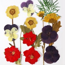 화미에듀 레진아트 압화 꽃 HR-116 공예 수업재료